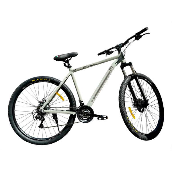 BICICLETA FIAT ROD 29 L/GRIS