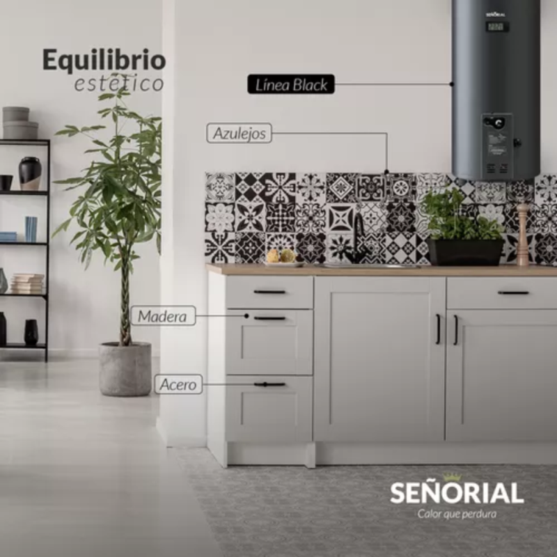 Termotanque Eléctrico Señorial Black TSBE-80 negro 80 L