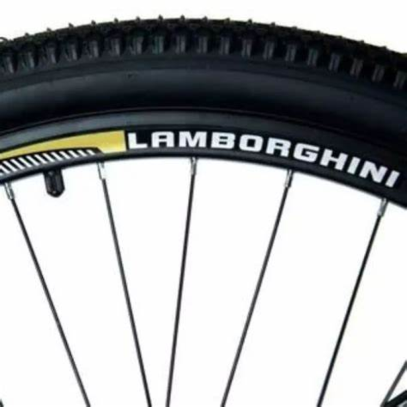BICICLETA LAMBORGHINI ROD 29 M GRIS