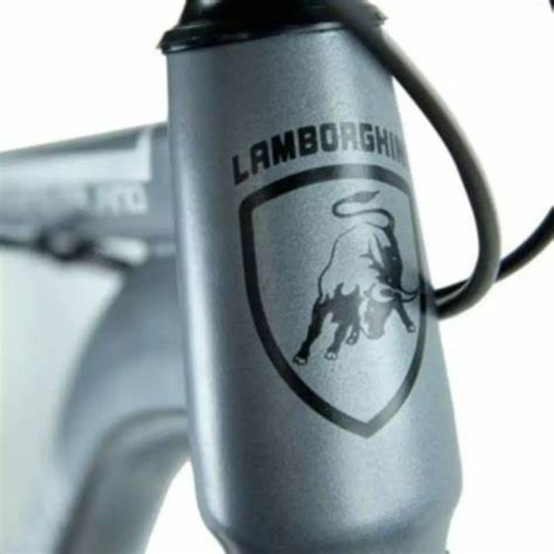 BICICLETA LAMBORGHINI ROD 29 M GRIS