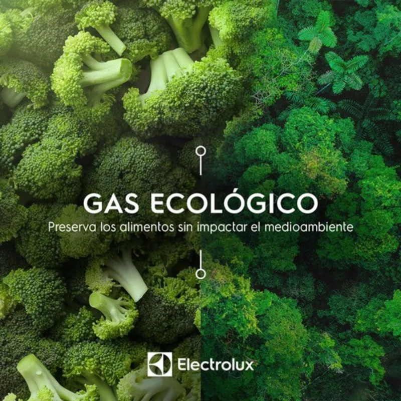 HELADERA ELECTROLUX HENI3000P