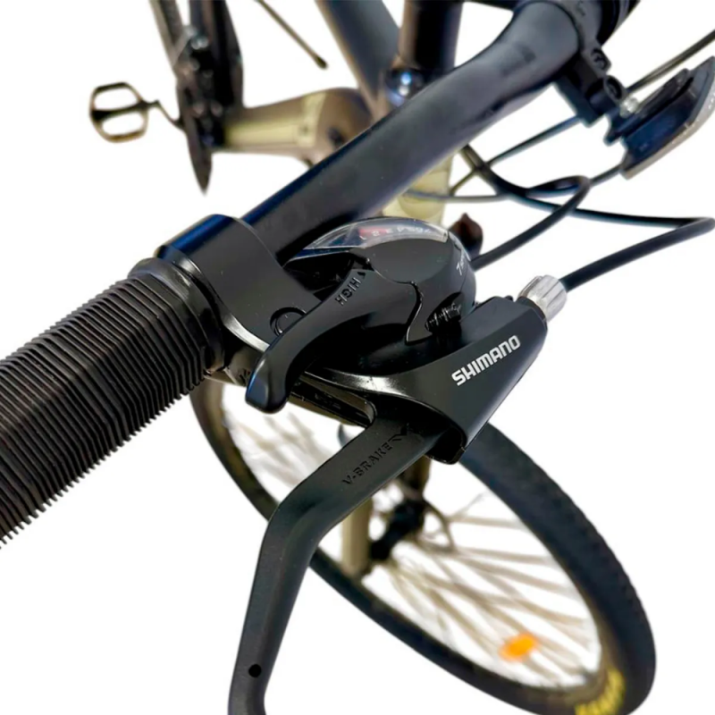 BICICLETA FIAT ROD 29 L/GRIS