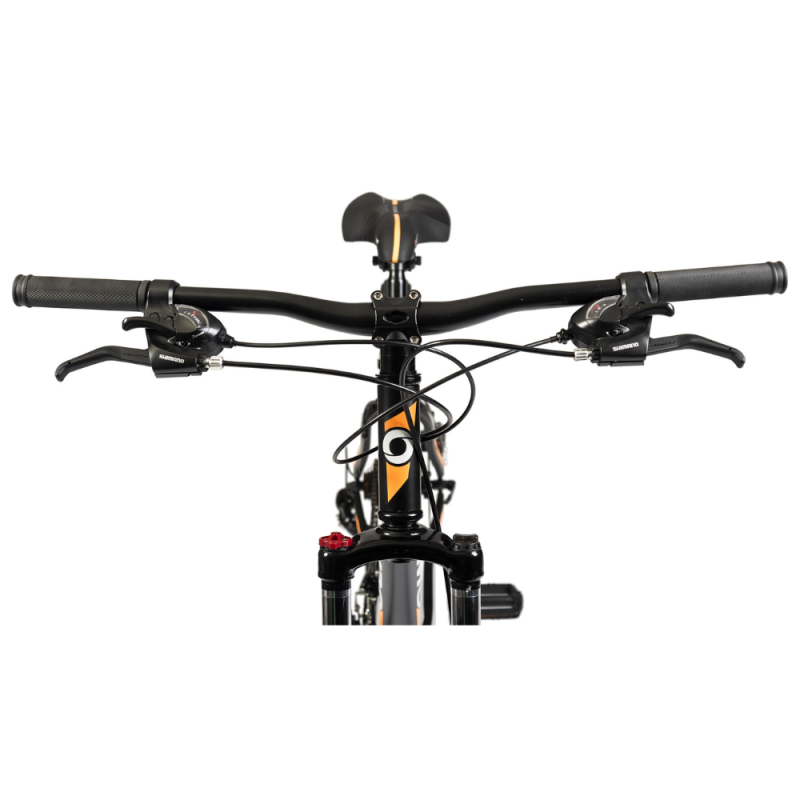 BICICLETA OLMO FLASH ROD 29 NEGRO MATE