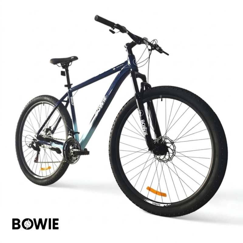 BICICLETA BOWIE ROD 29 L 9296 AZUL - CELESTE